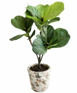 Allstate Home Decor Fiddle Leaf Plant In Pot