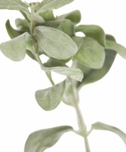 Allstate Home Decor Soft Lambs Ear Stem