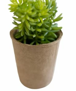 Creative Co-op Jordyn Succulent In Paper Pot Home Decor
