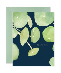 E.Frances Pancake Plant Thank You GIFT