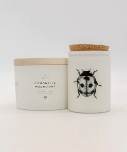 Skeem Citronella 3 Wick Candle - Moonlight