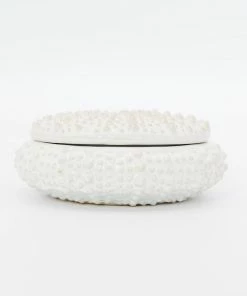 HomArt Home Decor Urchin Ceramic Box