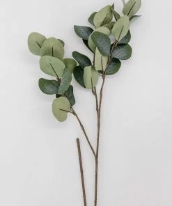 Allstate 35" Eucalyptus Leaf Home Decor