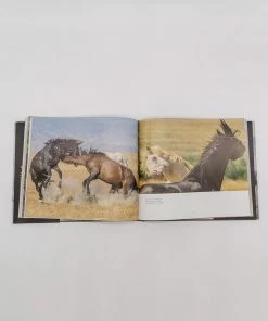 Gibbs Smith Publisher Wild Horses Of The West