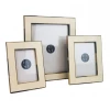 Two's Company Horn Trimmed Frames Home Decor