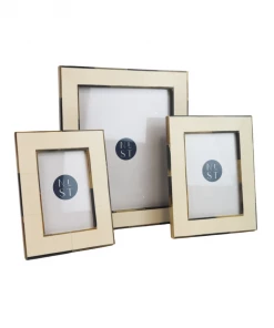 Two's Company Horn Trimmed Frames Home Decor