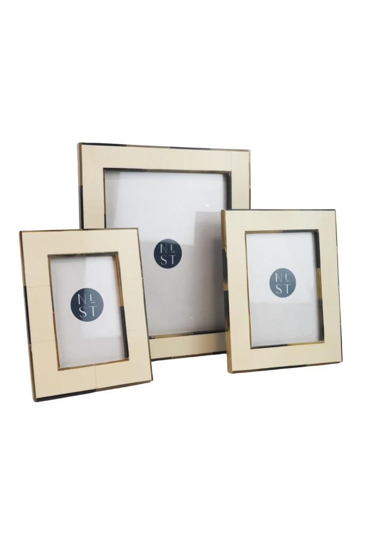 Two's Company Horn Trimmed Frames Home Decor