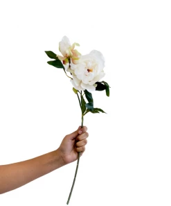 Allstate Peony Spray In Cream Home Decor