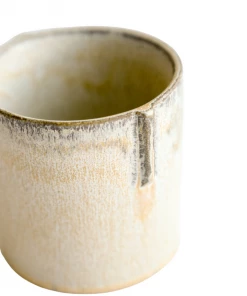 Creative Co-op Home Decor Champ Pots