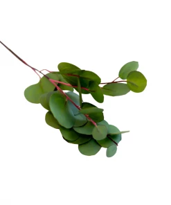 Allstate 26" Eucalyptus Leaf Spray