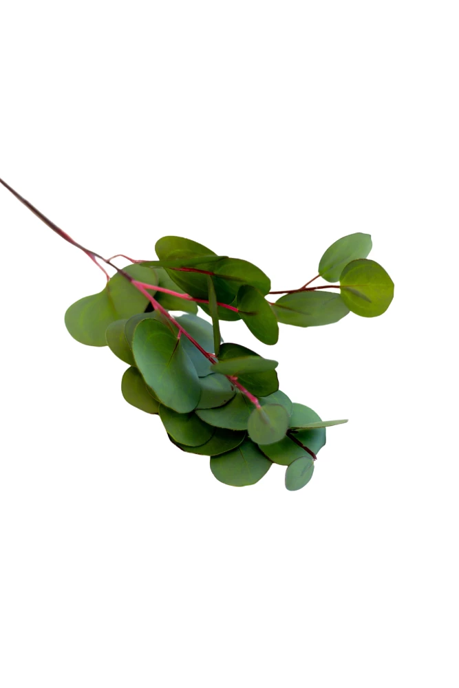 Allstate 26" Eucalyptus Leaf Spray