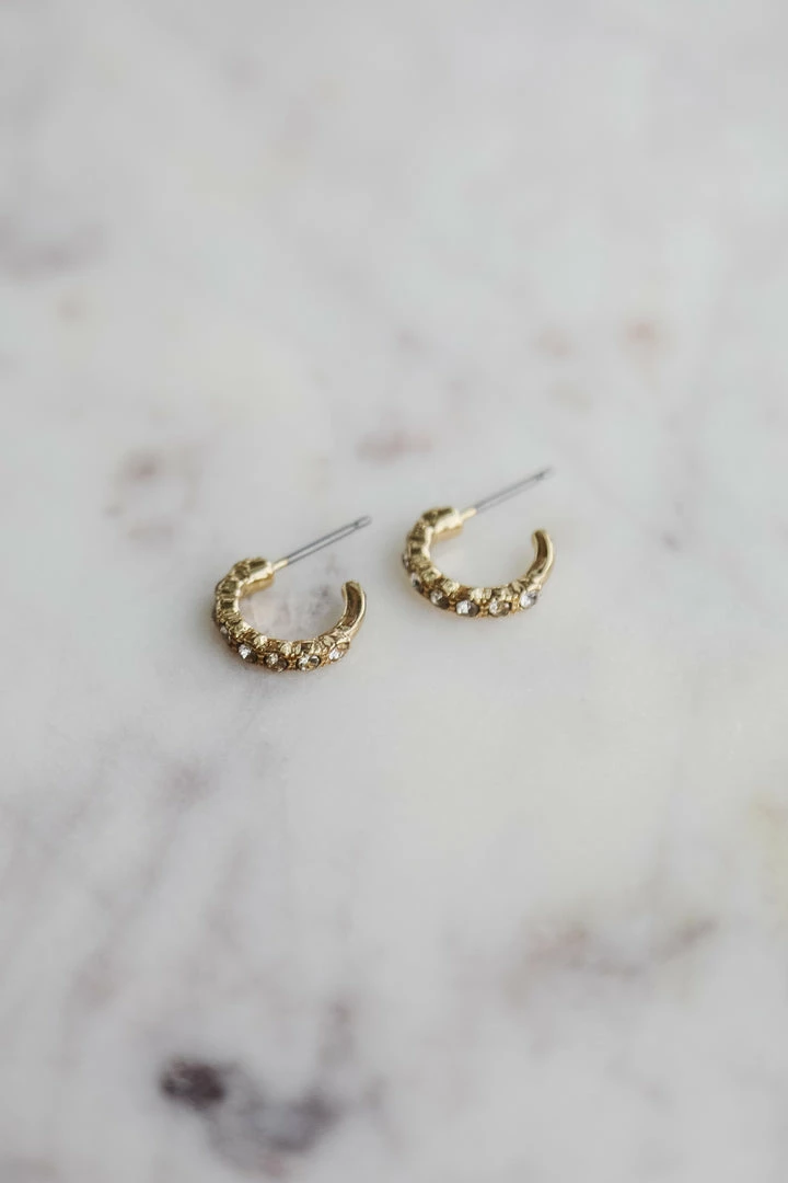 Splendid Iris Diana Earrings