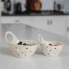 Creative Co-op Stoneware Colander Kitchen