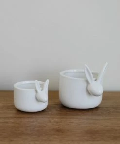 Accent Decor Home Decor Bunny Patch Pot