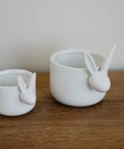 Accent Decor Home Decor Bunny Patch Pot