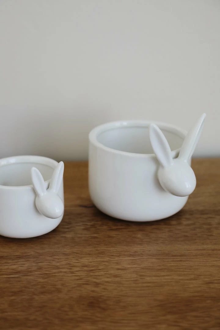 Accent Decor Home Decor Bunny Patch Pot