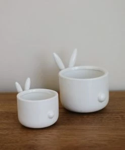 Accent Decor Home Decor Bunny Patch Pot
