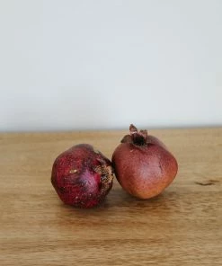 Park Hill Collection Home Decor Pomegranate