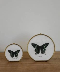 Creative Co-op Home Decor Rounded Gold Picture Frame