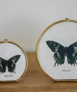 Creative Co-op Home Decor Rounded Gold Picture Frame