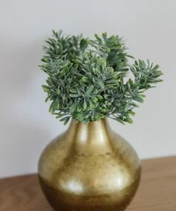 Allstate Succulent Grass