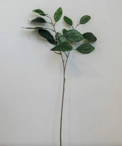 Allstate Silvia Eucalyptus Stem Home Decor