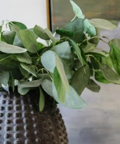 Allstate Soft Eucalyptus Spray