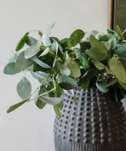 Allstate Soft Eucalyptus Spray