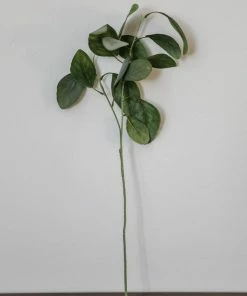 Allstate Soft Eucalyptus Spray