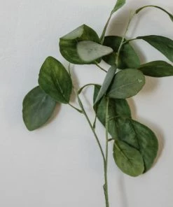 Allstate Soft Eucalyptus Spray