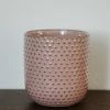 Accent Decor Evaline Pot