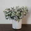 Kalalou Home Decor Boxwood In White Pot