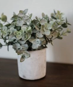 Kalalou Home Decor Boxwood In White Pot