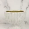 Accent Decor Coronation Compote