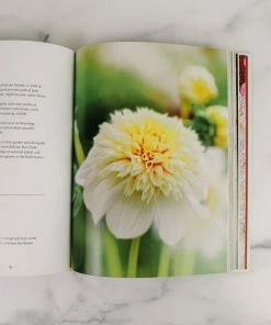 Gibbs Smith Publisher Dahlias