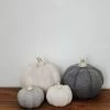 Creative Co-op Wool Pumpkins Home Decor