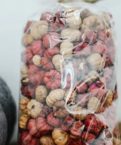 Creative Co-op Dried Pumpkins