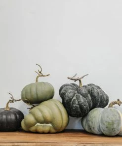 Park Hill Home Decor Heirloom Pumpkins