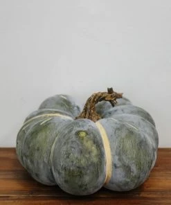Park Hill Home Decor Heirloom Pumpkins