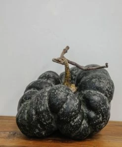Park Hill Home Decor Heirloom Pumpkins