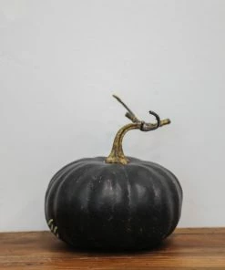 Park Hill Home Decor Heirloom Pumpkins