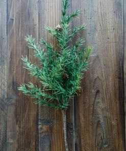 Allstate Home Decor Larch Pine Spray W/ Cone
