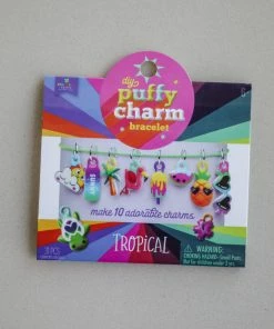Ann Williams GIFT Puffy Charm Bracelet Kit