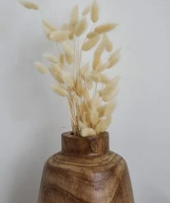 Mud Pie Preserved Lagrus Grass