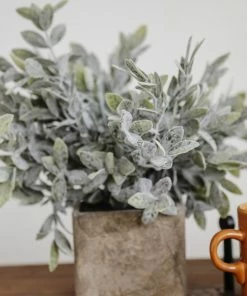 Kalalou Sage In Square Pot