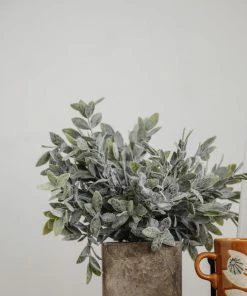 Kalalou Sage In Square Pot