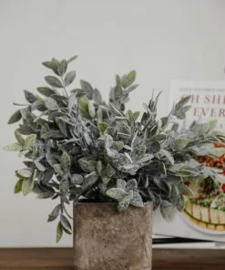 Kalalou Sage In Square Pot