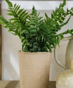 Creative Co-op Paper Pot Fern