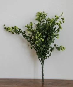 Sullivans Maiden Hair Fern Stem Home Decor