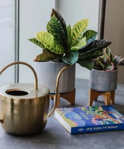 Hachette Home Decor Epic Runs Of The World